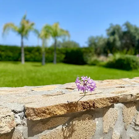 Le Balate 4* Augusta