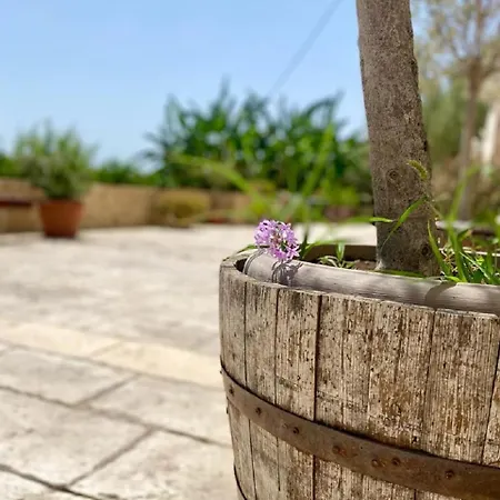 Bed & Breakfast Le Balate Augusta