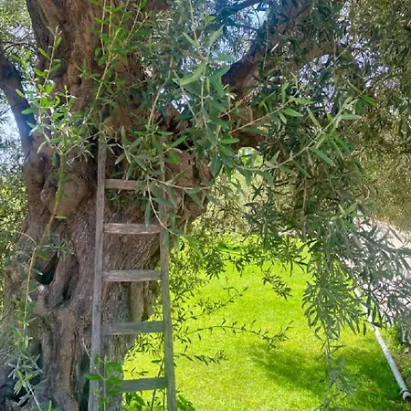 Le Balate 4* Augusta