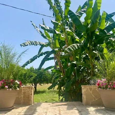 Bed & Breakfast Le Balate 4*