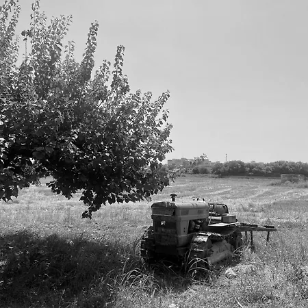 Le Balate Bed & Breakfast