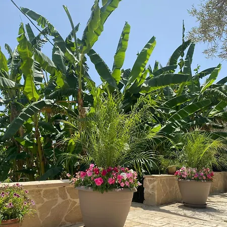 Le Balate Bed & Breakfast 4*