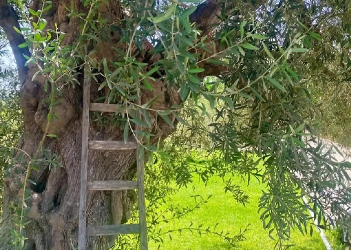 Le Balate 4* אוגוסטה