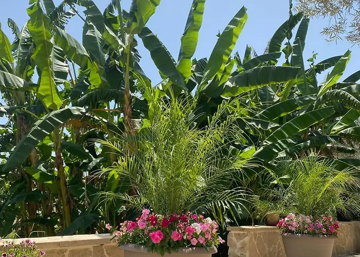 Le Balate Frühstückspension 4*